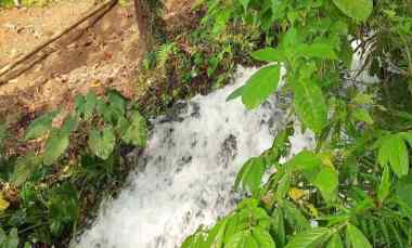 Tanah Kebun di Penebel Bali hanya 15 menit ke Jatiluwih