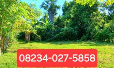 Dijual Tanah 14,6 are di Pengambengan Negara Jembrana Bali