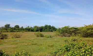 Dijual Tanah 9901 m2 dekat Pelabuhan Pengambengan Negara Jembrana Bali