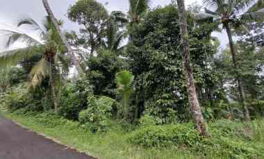 Dijual Tanah Perkebunan Murah