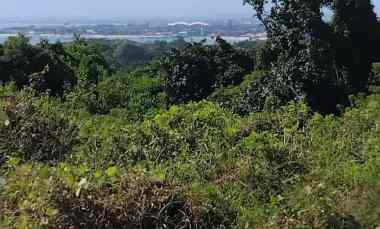 dijual tanah perum pasraman unud