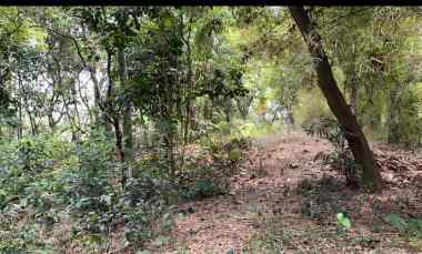 Dijual Tanah Kavling DiPerumahan Bappenas Cinangka Depok, Jawa Barat