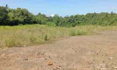 Tanah Dijual di Perumahan Wira Kumala Asri