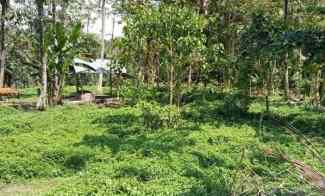 Jual Tanah View Sungai dan Tebing di Kawasan Petang Sangeh Badung Bali