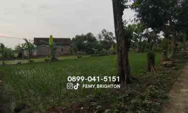 Dijual Tanah Peternakan Ayam Caruban Madiun