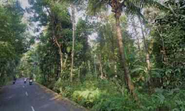 Tanah Dijual di Peusing cidomba