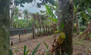 Dijual Tanah Berlokasi di Jalur Utama Bali Barat dekat Pantai Balian