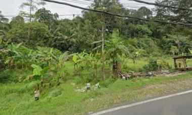 Tanah Dijual di Mandirancan kab kuningan