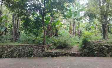 Tanah Dijual di Linggarjati