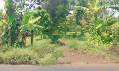 Tanah Dijual di Linggarjati kab. kuningna
