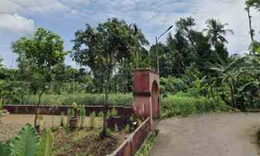 Dijual Tanah Pinggir jl Desa di Pakembangan