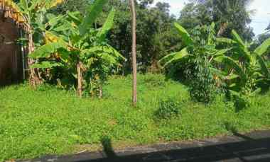 Tanah Dijual di Randobawa kec mandi rancan