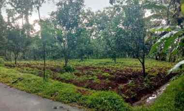 Tanah Dijual di Sarwadadi