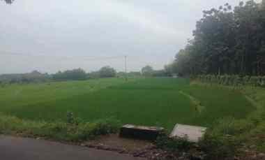 Tanah Dijual di Sarwadadi Talun cirebon