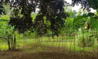 Jual Tanah Luas Strategis di Pisangan Tangerang Selatan