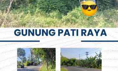 Tanah Strategis Pinggir Jalan Raya Gunung Pati dekat Bina Amal