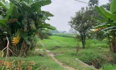 dijual tanah plot merah industri murah