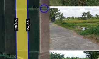 Tanah Sawah Jual Cpt L.3200m2 Muka 20m Polanharjo Klaten 640jt