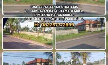 Jual Murah Tanah Strategis Pinggir Jalan Raya Utama Jember. Shm 1.5ha