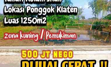 Dijual Tanah Zona Kuning 1250m2 Bagus untuk Kolam Ikan dan Hunian