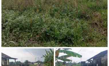 Tanah 2000m2 Ponggok Klaten Jateng dekat Wisata dan Pasar 350rb/m2r