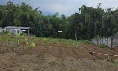 Tanah Kavling Luas dan Asri Poros Jalan untuk Usaha di Selecta Batu