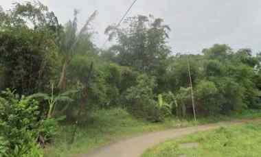 Dijual Tanah Kebun Pinggir jl Desa Akses Truk Masuk di Pancalang