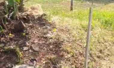 dijual tanah pucung