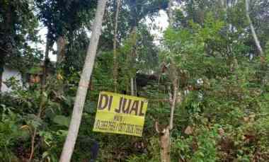 Tanah Dijual di Pulosari Bareng Jombang