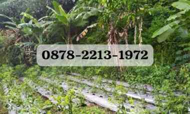 Tanah Dijual di PUNCLUT LEMBANG KBB.