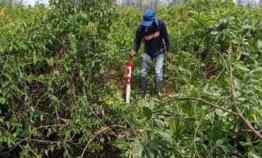 Dijual Tanah Lokasi Punggur Kecil. Luas 13.965 m2. SHM. Harga 50 Rb