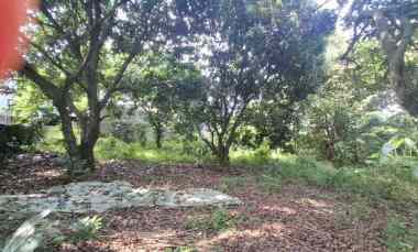 Tanah Dijual di Puri Sriwedari Cibubur