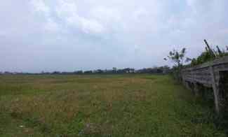 Tanah Mainroad Rancaekek 5 menit dari Tol Purbaleunyi Cisumdaw