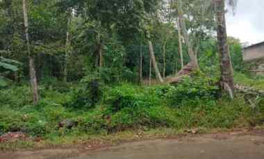 Dijual Tanah Kebun Pinggir Jalan Desa di Randobawa Kec.mandirancan