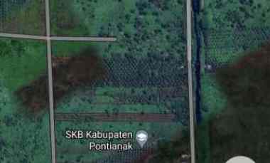 Tanah Murah Investasi Bintang Mas 1 100 jt Saja Perhektar Ada 16 Hekta