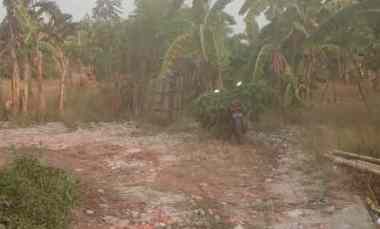dijual tanah rawakalong