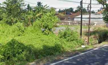 dijual tanah raya denpasar singaraja