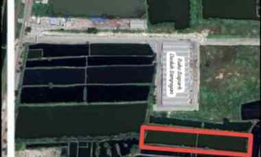 Murah Dijual 1,2 Hektar Tanah Kebomas Dawarblandong Gresik Jatim