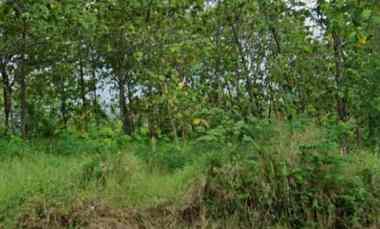 Tanah Dijual di Raya Jatiwangi Majalengka