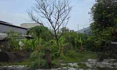 Tanah Strategis Raya Kedung Cowek Cocok untuk Pergudangan / Industri