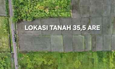Dijual 35,5 are, jl. Pantai Kelating Raya Kerambitan Tabanan