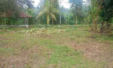 Dijual Tanah Strategis di Lombok Cocok untuk Dealer/show Room