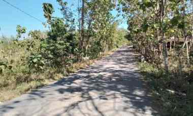 Tanah Kosong 7 HA di Rejosari Ngawis Karangmojo, Gununungkidul Yogya