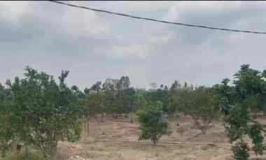 Tanah Dijual di Relung Helok, Natar