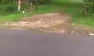 Tanah Murah Subang dekat Ciater Cocok Perumahan Resort Asri Strategis