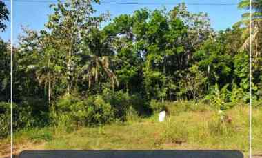 Tanah Dijual di Salakan bangunjiwo kasihan Bantul