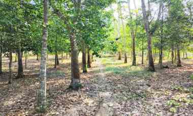 Jual Tanah 27.060 m2 di Balikpapan Timur Kota Balikpapan