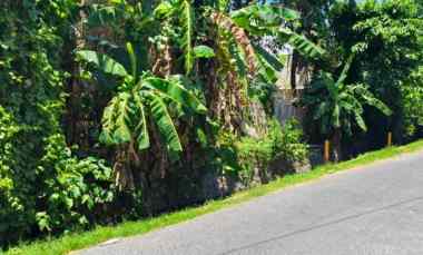 dijual tanah sanur kauh