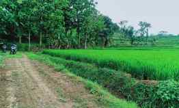 Dijual Tanah Sawah 2805m2 Kerjo Karanganyar