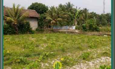 Dijual Tanah Sawah dengan Legalitas AJB di Walantaka